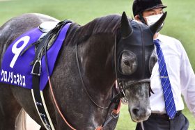 JRA女帝クロノジェネシスか、新世代の覇者エフフォーリアか、それとも⁉　熾烈な年度代表馬争いのダークホースはマヤノトップガンの後継者？