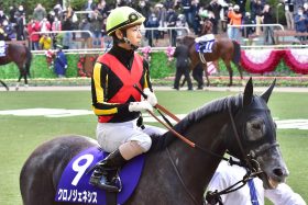 【2021ドバイミーティング展望】いざ「世界王者」へ！「アラビアンドリーム」を狙う日本馬の走りに世界中が注目