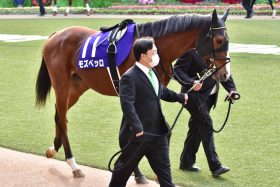 JRA 池添謙一「トリガー発動」でモズベッロに勝算あり!? 大阪杯（G1）強敵相手も「勝ち負け期待」日経賞（G2）見送りに勝負駆けの気配