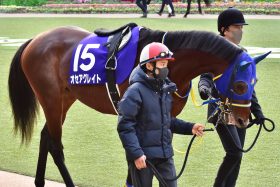 JRA【ステイヤーズS（G2）展望】横山典弘「27年連続重賞V」へ一球入魂!? 渾身騎乗「再現」でオセアグレイト連覇へ