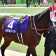 【JBCスプリント(G1)展望】金沢1400mでマイラーに勝機あり!? サンライズノヴァは復活なるか、前哨戦快勝サクセスエナジーはベスト条件