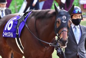 JRA 「まるで敗戦処理」武豊ユーキャンスマイルとコンビ復活が意味するものとは!? 阪神大賞典（G2）金子真人オーナーと黄金タッグでクラシック見据えたその先