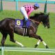 JRAアーモンドアイらG1馬を多数輩出!出世レースは「ノーザンF」期待の良血ククナ&レゾンドゥスリールVS「実績上位」バスラットレオン【シンザン記念(G3)展望】
