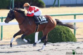 JRAレッドルゼルに「致命的弱点」あり!? フェブラリーS（G1）距離延長より不安なロードカナロア産駒の“絶望的”条件とは