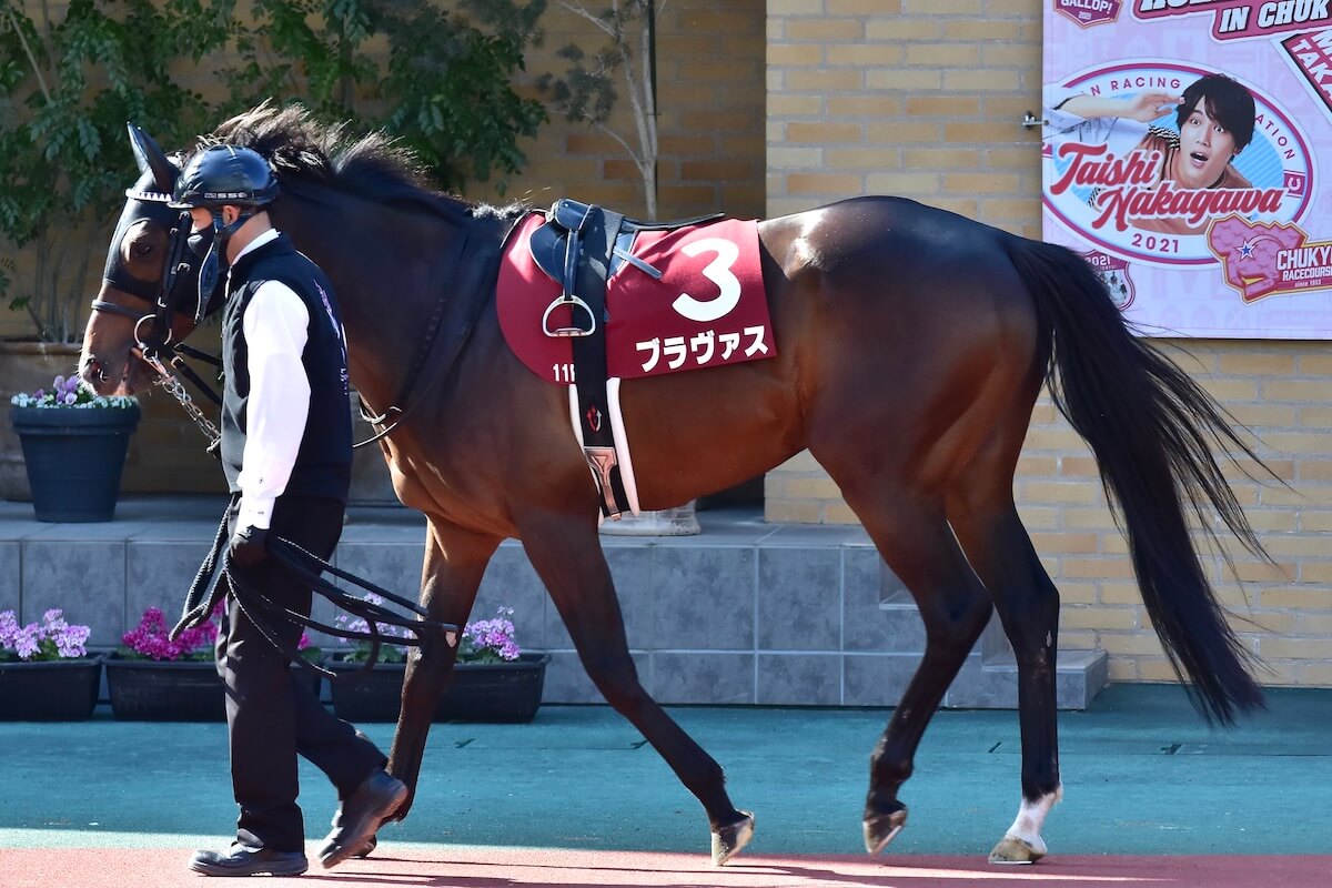 JRA鳴尾記念（G3）土曜重賞「複勝率81.8%」川田将雅「◎」で、ブラストワンピース＆サンレイポケットは自信の消し！【八木遊のフォーメーション馬券予想】の画像3