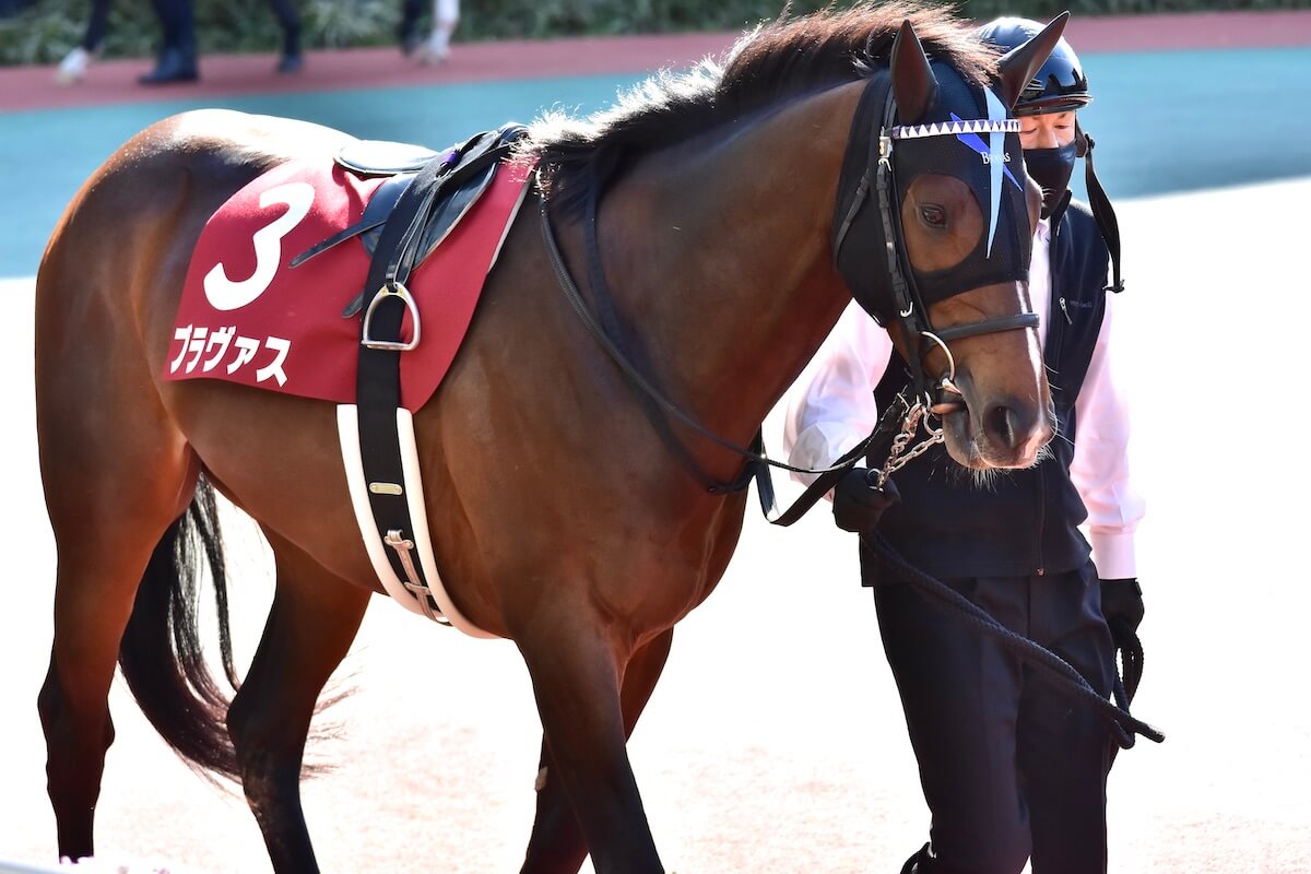 JRA馬主リーディング565位へ急降下！ 「ハマの大魔神」が直面した試練とV字回復の切り札は？の画像2