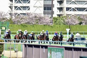 JRA「実力はあんなものではない」相沢郁厩舎、大器ライラックに続く桜花賞（G1）2頭出しへ素質馬モカフラワーが出陣！