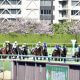 JRA桜花賞(G1) 横山武史「3度目の正直」へ絶対に負けられない1戦! 2度あることは3度ある? 人馬に付き纏う「不安要素」とは