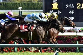 JRAも後悔!? “幻の菊花賞馬”怒涛の3連勝に「本番で見たかった」の声……「この馬が1番強いと思っていた」能力は、すでに重賞級