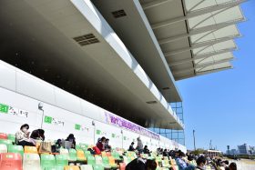 JRA「確勝」シャフリヤール轟沈に注目の上がり馬も脱落！ 「波乱必至」の菊花賞で絶対に舐めてはいけない穴馬を発見？