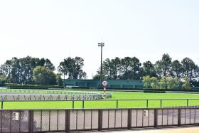 「グランアレグリアは新垣結衣なんだ」お騒がせ騎手の“ポエム”予想が大反響!? 武豊、C.ルメール“イジり”も容赦なし…… 元祖天才騎手の慧眼が話題独占