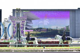 JRA「単勝138.4倍」トゥラヴェスーラ驚愕の4着激走！「悔しい気持ちが大きい」安藤勝己氏も絶賛した”穴男“鮫島克駿に「足りないもの」とは