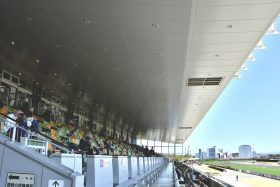 JRA 覚醒したジャックドールを止めるヒントは「父」にあり!? 無敵状態のモーリスに土を付けた2頭の「共通点」とは