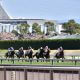 JRA ダノンザキッド安田隆行調教師「日本ダービーに使いたい」も、まさかの勝率「1.2%」の壁……酷似する「12年前」あのダービー馬の再現となるか