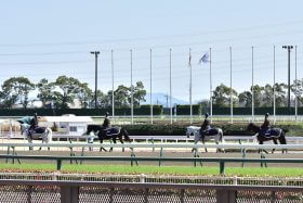 「川田将雅 VS C.ルメール」だけじゃない！リーディング争いは折り返し地点…調教師部門は「対照的」名伯楽の一騎打ち？