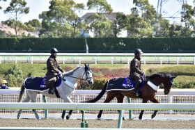 ジャンポケ斉藤「ヤバい、もう殺してくれ！」競走馬セリ市に初参戦も大パニック!? 公式YouTube『ジャングルポケット産駒を買う』で、競馬ファンも注目したチャレンジの結果は