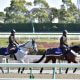JRA キングマンを覚えておいて損はなし!? シュネルマイスターNHKマイルC(G1)制覇、「ブレイク」必至の注目種牡馬が日本競馬界に来襲!