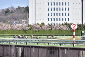 開催最終週で大勝負確定!? 個人馬主からクラブ馬主まで、地元東京馬主の勝負馬がズラリ！
