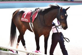 JRA「幻の秋華賞馬」レイパパレVS「牝馬三冠」デアリングタクトが激突！ 誰もが望んだ直接対決…ヴィクトリアマイル（G1）でついに実現