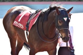 JRA松山弘平は間に合うのか…「待望復帰」デアリングタクトVS「復活」ソダシ！ 新旧女王対決に「世界的スプリンター」が参戦！ 今年はヴィクトリアマイル（G1）が熱い