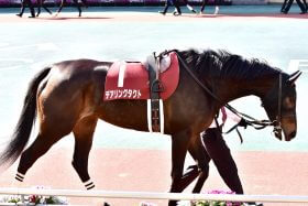 JRAヴィクトリアマイル（G1）ソダシ、レイパパレG1馬5頭は「全消し」でOK!? 近5年でG1馬17頭が屈した「最悪データ」アーモンドアイ・グランアレグリア級でなければ勝利は不可能？