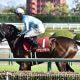 JRA 凱旋門賞(G1)コントレイル「逃亡」でディープボンドと立場逆転!? 国内専念で問われる三冠馬の品格…… 絶望的となった父ディープインパクト超え