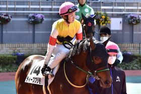 JRA 古川奈穂騎手「手術決断」へ……現在新人リーディングも、復帰までに約6ヶ月か。かつて同じ箇所に苦しんだアスリートには「あの大横綱」の名前も