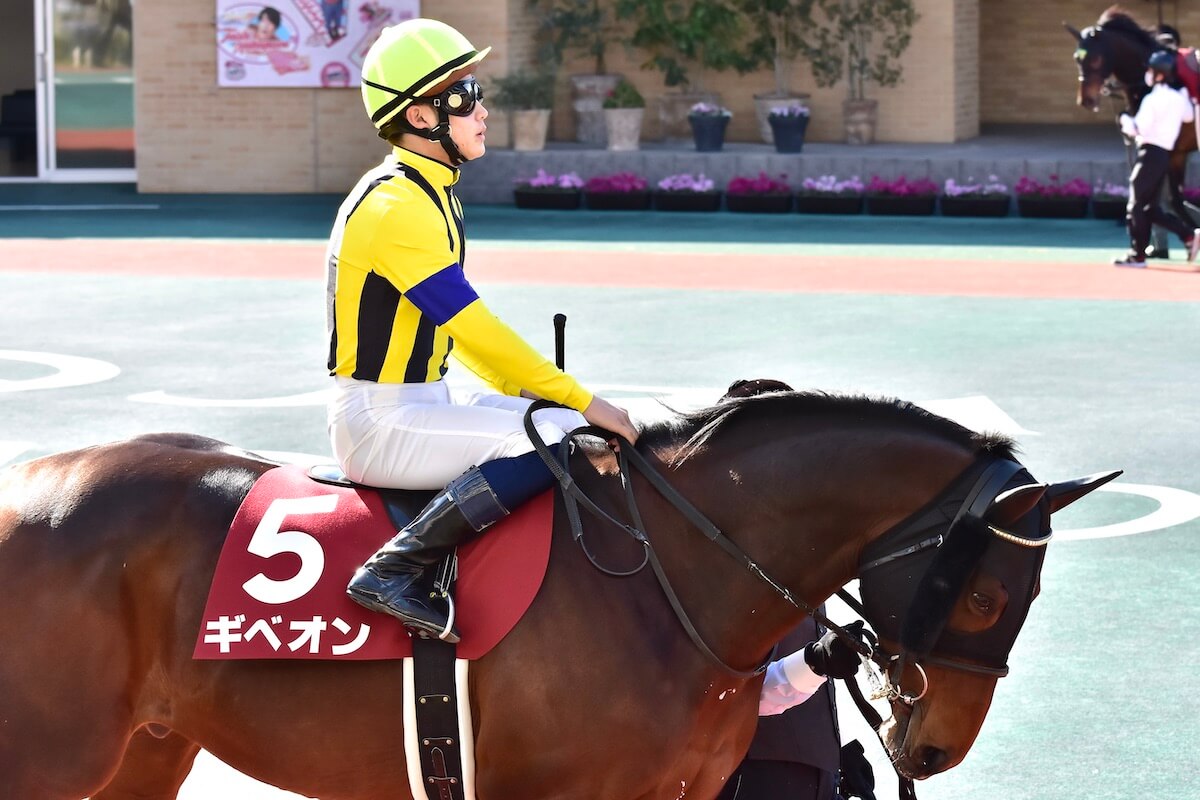 JRA新潟記念(G3)相性抜群の超良血馬に「◎」大波乱必至!? ザダル、トーセンスーリヤ他、人気上位馬は「バッサリ」の画像4