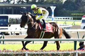 JRA 単勝「227.3倍」波乱の使者ギベオンにデアリングタクト以上の強敵!? マイラーズC（G1）苦戦必至を予感させる厳しい現実……。