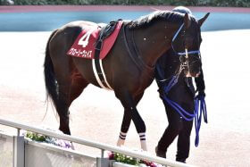 【香港ヴァーズ展望】海外同一G1・3勝へ、グローリーヴェイズがラストラン！