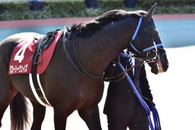 「香港専用機」グローリーヴェイズが秘める“札幌巧者”の可能性