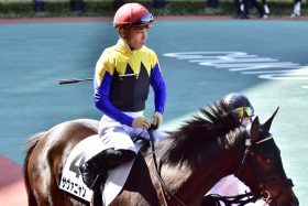 川田将雅「良い内容でした」名門厩舎の大物候補が新馬戦ノーステッキV！ 一族にG1馬が並ぶ良血に「キタサンブラックより面白そう」の声