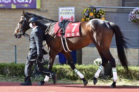 もし霜降り明星・粗品が有馬記念（G1）を当ててたら「税金」は？ キセキ単勝100万円勝負は勝っても地獄!?