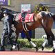 JRA「101連敗中」藤田菜七子にビッグチャンス!? 逆襲の2022年はブラック企業も真っ青の小倉から…「深刻な騎手不足」が追い風に?