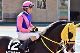 JRA C.ルメール「3月不調」は二桁地獄!? ニュージーランドT（G2）連勝中アヴェラーレにも襲い来る木村哲也厩舎「4年前」の悪夢