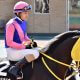 JRA ニュージーランドT(G2)ダート無敗馬「◎」で余裕の爆穴ゲット!? レイパパレ弟に「超大物」の予感【八木遊のフォーメーション馬券予想】