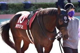 JRA武豊「G1完全制覇」に新たなライバル登場!? ディープインパクト、キングカメハメハ所有…安藤勝己氏も「凄まじい」と唸った相馬眼