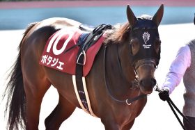 JRA「5戦無敗」ポタジェが川田将雅に”捨てられて”はや7ヶ月……。毎日王冠（G2）で「復縁」猛アピールなるか