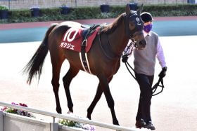 天皇賞・秋（G1）パンサラッサに救いの手!? 田原成貴氏が言及した意外な“アシスト役”とは