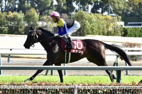 JRAプログノーシス「1強ムード」に異議あり!? 最強オーナーが本気の4頭出しか…今年はまるで金○賞？