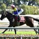 JRA【金鯱賞(G2)予想座談会】波乱必至の難解重賞に断!ハーツクライの「サイン」もバッチリ、打倒プログノーシスを託した実力馬と狙う特大万馬券
