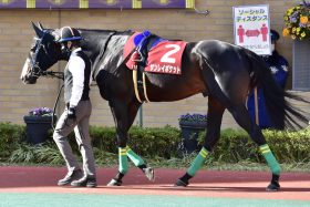 JRAジャパンC（G1）「大穴」は忘れた頃にやってくる!? 「単勝万馬券」級の衝撃再び、テイエムオペラオーを撃破した東京巧者の血