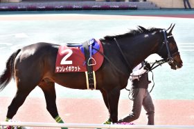 JRA日経新春杯（G2）の「隠し玉」を発見？ データに逆らっても狙いたいアノ馬に勝負気配