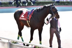 JRA宝塚記念（G1）昨年ジャパンC「4着馬」がまさかの除外危機…主な勝ち鞍“3勝クラス”が優先されるファン投票選出の歪み