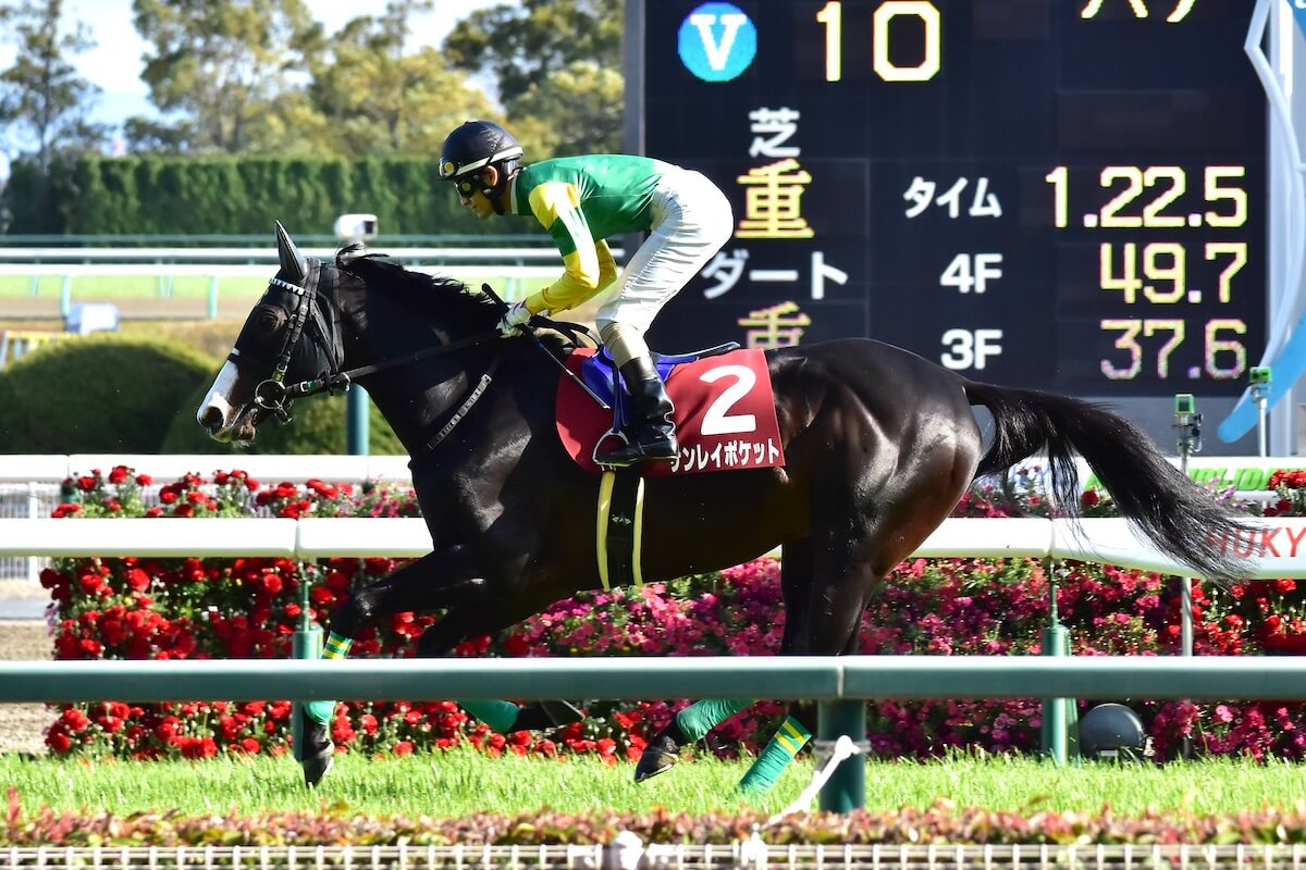 JRA鳴尾記念（G3）土曜重賞「複勝率81.8%」川田将雅「◎」で、ブラストワンピース＆サンレイポケットは自信の消し！【八木遊のフォーメーション馬券予想】の画像4