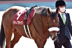 C.ルメール「空気を読まない」武豊斬りの裏で痛恨アクシデント、かつてクラシック候補と呼ばれた逸材が復帰も…待ち受けていた悲しい現実