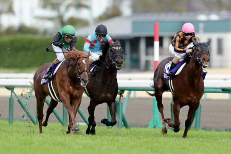 デアリングタクト　新聞記事 全姉は三冠牝馬のデアリングタクト デアリングエアが連勝狙う