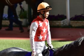 JRA京都記念（G2）レッドジェネシス「順調」報道を一刀両断!? 「あまり高い評価はできない」3歳新馬と“互角”に留まった実力馬のジャッジに温度差