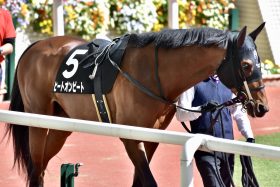 【新潟記念（G3）展望】“善戦マン”ヒートオンビートが中心も混戦模様