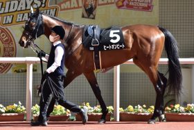 JRA【中山金杯（G3）展望】横山武史VS和生兄弟、年初からガチバトル!? 有馬記念（G1）4着ステラヴェローチェ登録はハンデ確認？